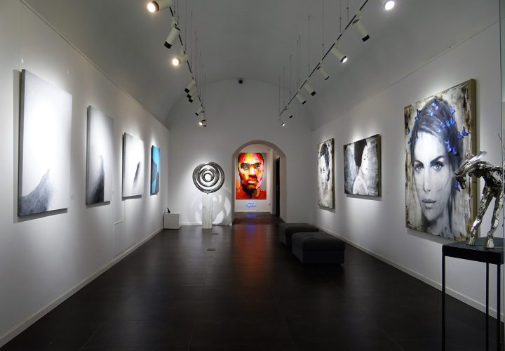 pexels-sevenstorm-juhaszimrus-1604991